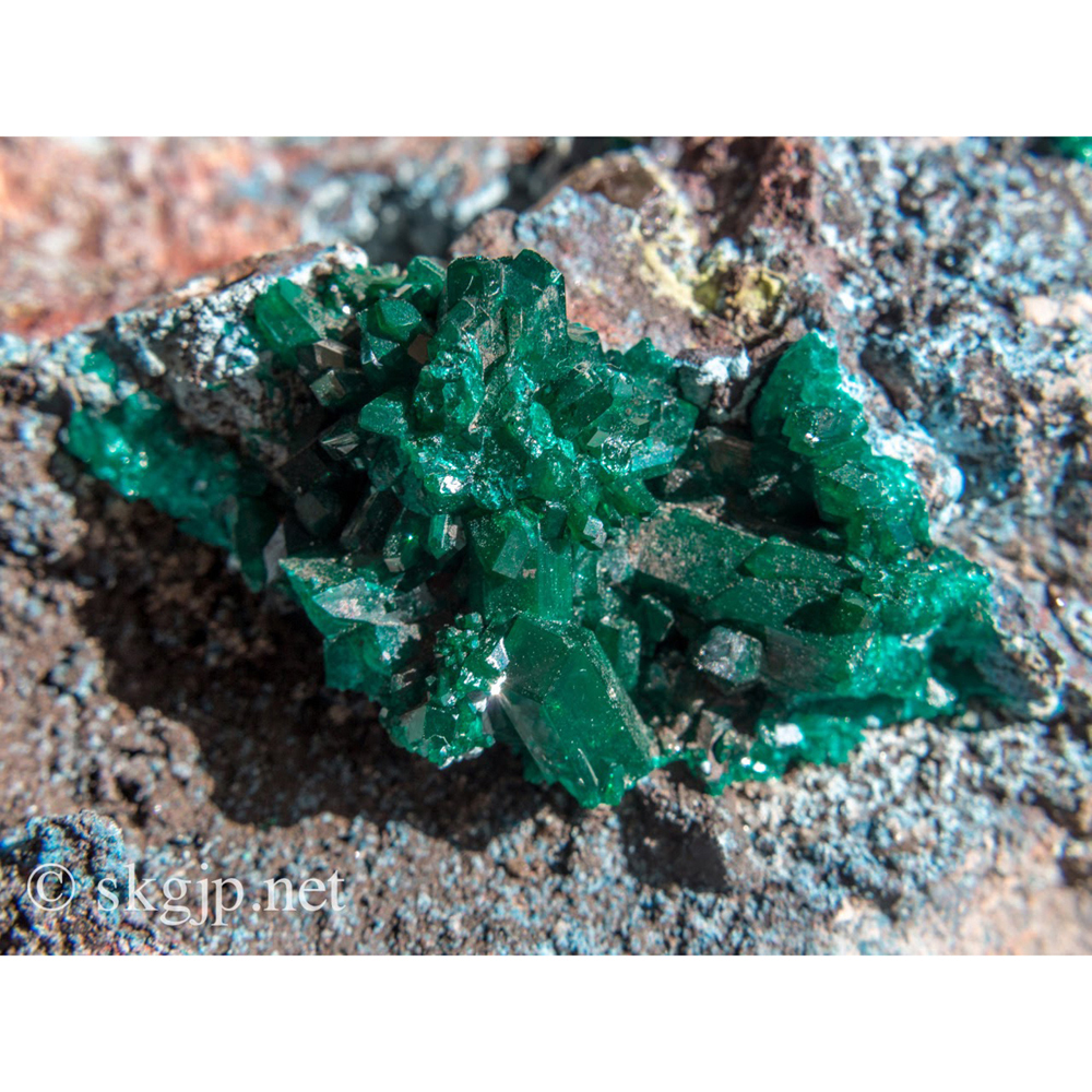 ダイオプテーズ原石（翠銅鉱 Dioptase）原石 母岩付- ☆後でサイト名